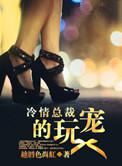 爱如影随形是什么歌