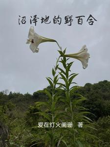一剑霜寒月