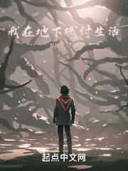 霹雳布袋戏风月主人