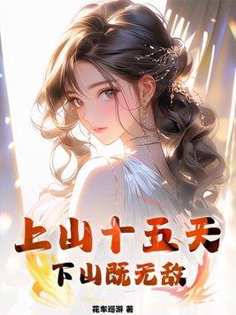 年年安康txt