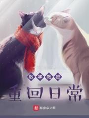 自动售货机的古代生活圆月柚子