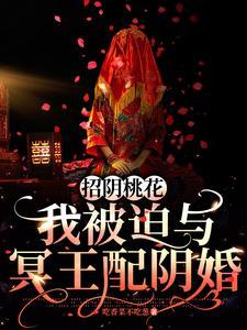 龙傲天的咸鱼青梅改嫁了[八零