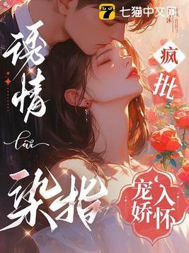 天下第一乞丐电视剧