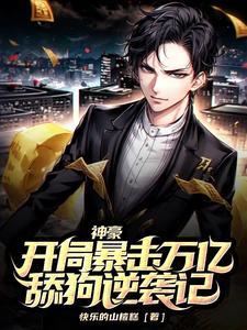 重生七十年代的幸福