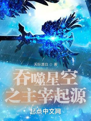 骑士大领主套装