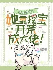 从签到火影开始说起