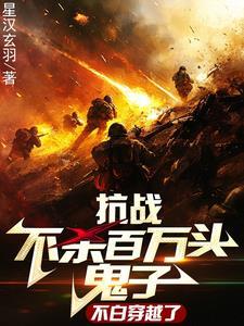 锂原子聚合物电池
