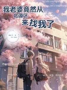 四合院棒梗结局