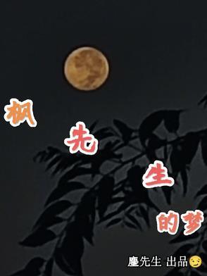 魔城之脑笔趣阁