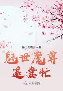 魔城之脑免费阅读