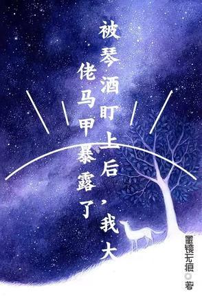 机甲改造大师