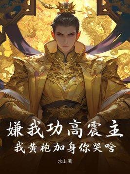 这个小妾不一般笔趣阁