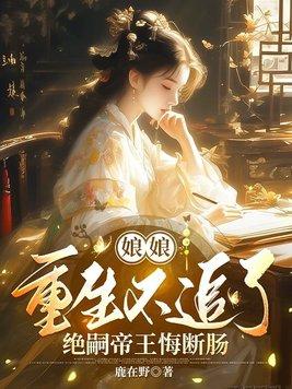 这个小妾不一般百度百科