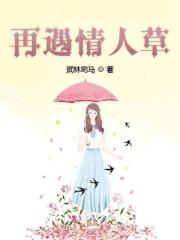 四合院方丈