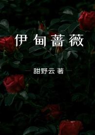 海牙足球俱乐部