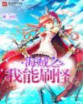 海贼之我能刷怪