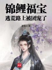 东海玄龟的评价