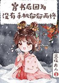 神偷傻妃全本免费阅读