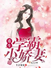 离婚向左再婚向右免费阅读