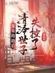 抗战之关山重重 老哲畅读
