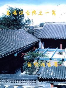 林有有是于太太安排的吗