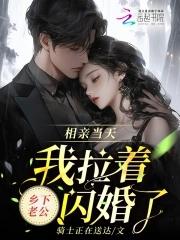 伪宋杀手日志 免费